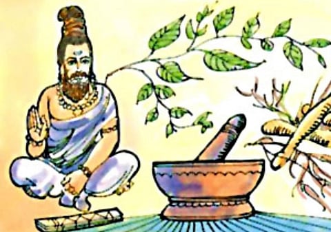 Does Soma-Rasa bring Human Beings closer to Hindu Gods? Find out its Spiritual Significance!