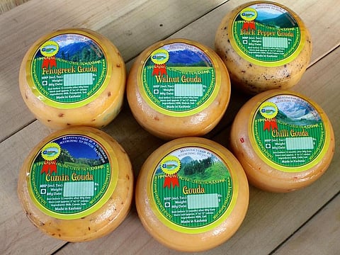 Kalari : A Unique Traditional Cheese of Jammu and Kashmir