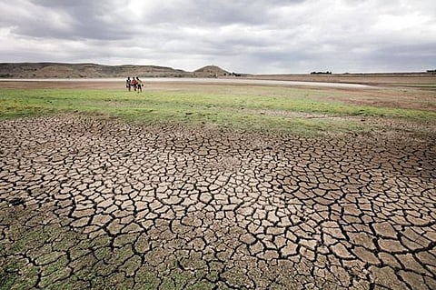 Maharashtra Drought Crisis: Shrikant Jadhav of Junnar finds an alternative to counter the problem