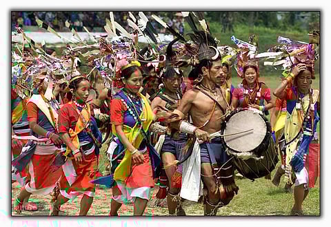 With luxury encroaching in forest areas, tribals fear for their existence