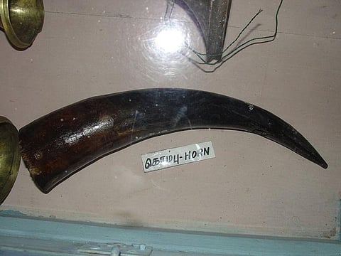 The lost Irish Musical Tradition Found in India