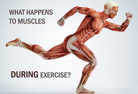 Exercise may help prevent slow decline of cognitive function that comes with aging: study