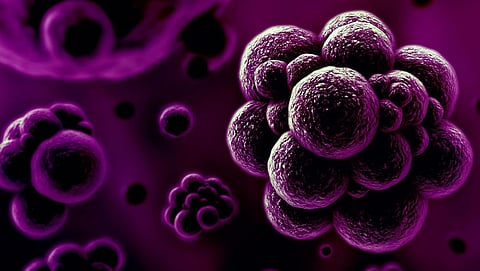 Delhi Golf Club’s bank account frozen for non-payment of tax