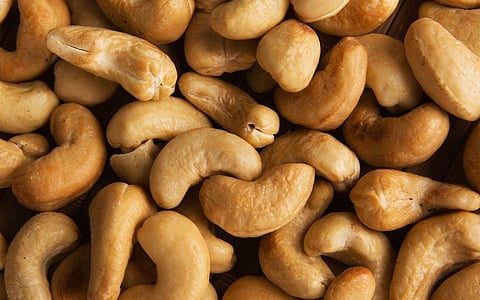 Cashew the most consumed nut in the Indian subcontinent