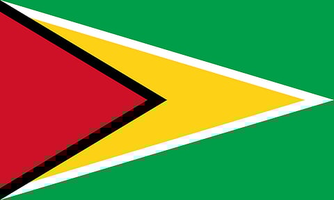 Guyana Hindu Dharmic Youth arm attracting large turnout