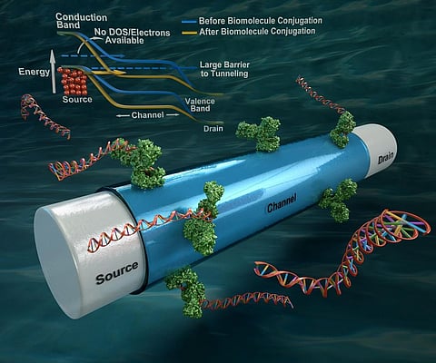 Biosensor to display the progress of Alzheimer’s disease