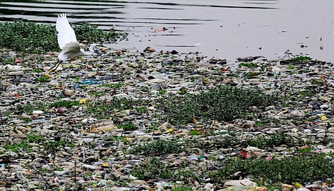 Nualgi Nano Biotech to save polluted Ulsoor Lake in Bengaluru