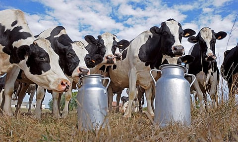 NDDB accounts for 90 percent of milk production in India: T Nanda Kumar