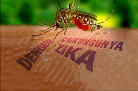 ‘India should curb travel from Americas to prevent Zika virus from entering India’