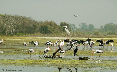 Wildlife photo exhibition at UP Raj Bhawan