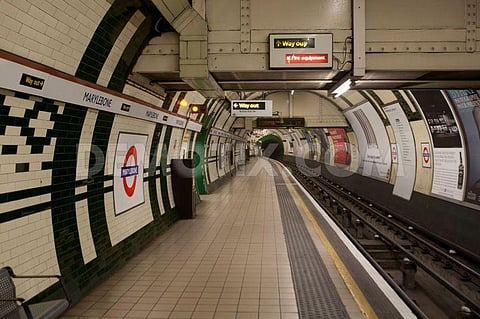 ‘This is for Syria’: Man stabs three at London subway station