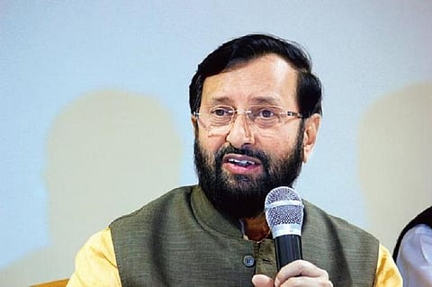 Union government committed to increase forest cover: Javadekar