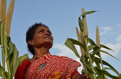 Rajasthan women farmers successfully battle climate change