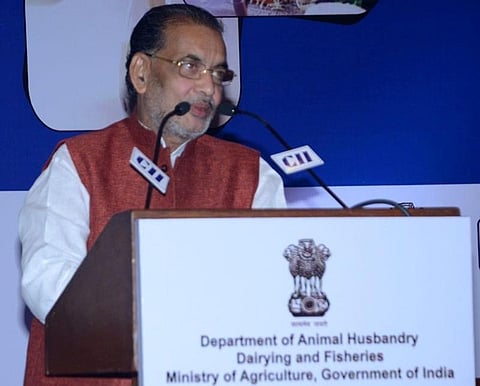 Australian Muslim Party launched in Sydney