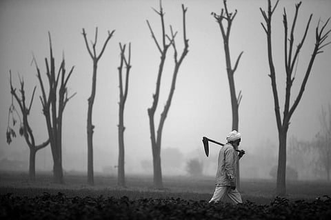 Debt-ridden MP farmers find relief in death