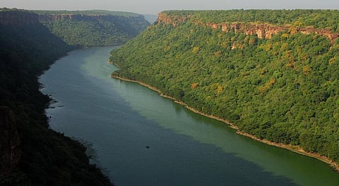 Notorious Chambal ravines to host India’s biggest bird festival