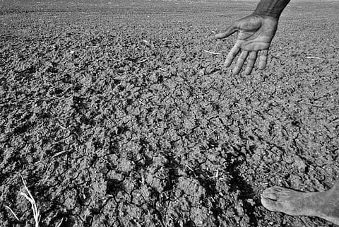Congress slams Odisha for failing to control drought impact, to launch agitation