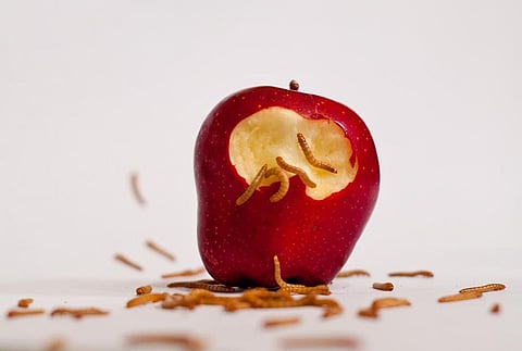 Apple faces $862.4 mn payout for using BITS graduates’ technology