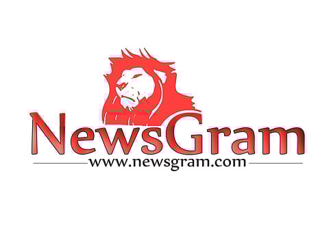 NewsGram: a journey that started small