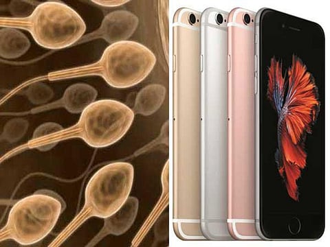 Chinese sperm banks using iPhone 6S to attract donors