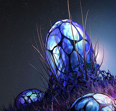 Half of India vulnerable to alien invasive plant species: Study