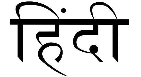 Hindi is common property, no party can appropriate it: Mrinal Pande