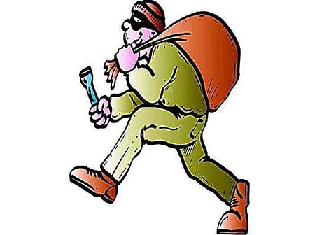 Gujarat businessman attacked with pepper spray, robbed