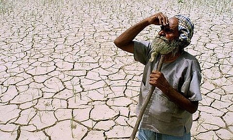 Maharashtra announces psychological health plan to tackle farmer suicides