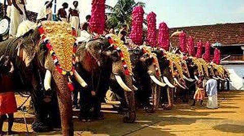 SC directs registration of Kerala temples having elephants