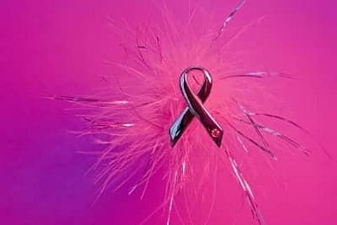 New biomarker for breast and prostate cancers found