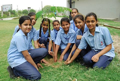 Massive plantation drive in Ghaziabad aims for 31,000 trees