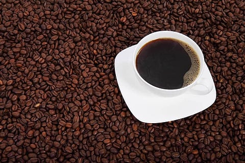 Increasing coffee intake bad for your brain : Study