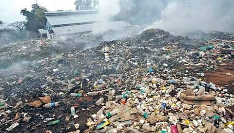NGT bans burning of waste in Vrindavan