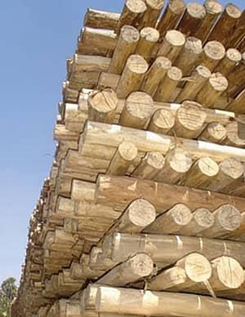 Varun Gandhi offered me to “settle everything” with Congress president Sonia Gandhi: Lalit Modi