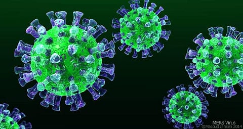 Researchers identify two therapeutics that can treat MERS