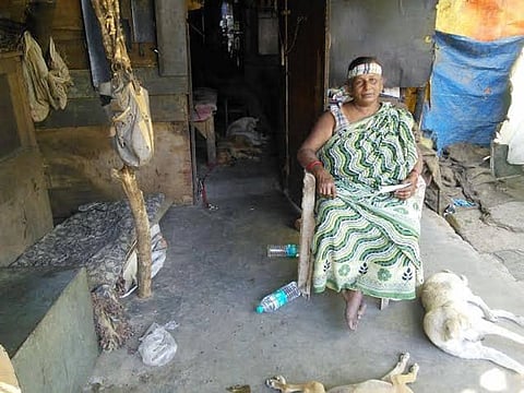 Dog days no more: Saket strays find mother figure in rag-picker