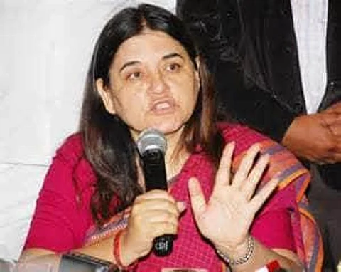 Marital rape is as condemnable as other crimes against women: Maneka Gandhi