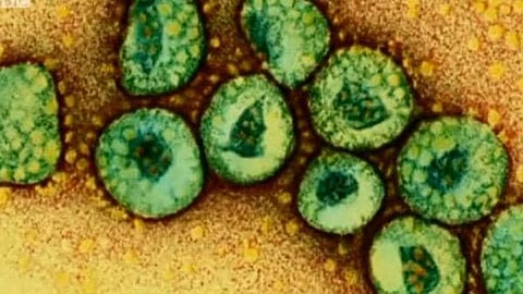 Researchers find potential way to combat MERS virus