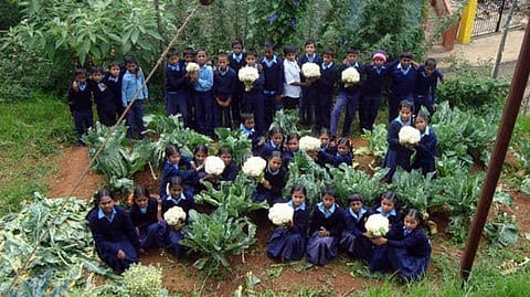 Vegetables-go-to-School Program: Why India needs school garden projects to reverse malnutrition