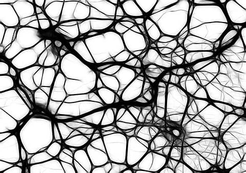 Brain cell density does not decay with increasing age, say researchers