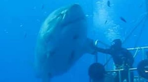 Home ministry rejects Delhi official’s transfer, CM says decision valid