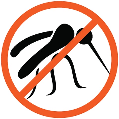 World Malaria Day 2015: A look at the numbers