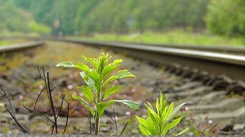 Railway Ministry mulls integrated security system for the safety of passengers
