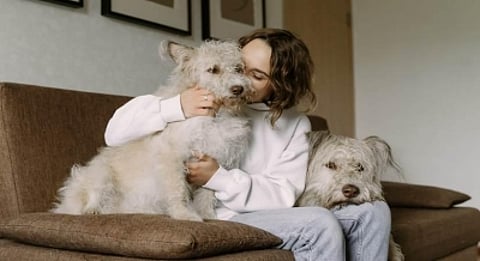 Five things to keep in mind while looking for a pet-friendly accommodation. (IANS)