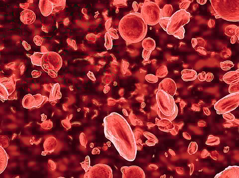 A team of researchers has used CRISPR gene editing, a type of 'molecular scissors,' to understand how deletions in one area of the genome can affect the expression of nearby genes. (Unsplash)