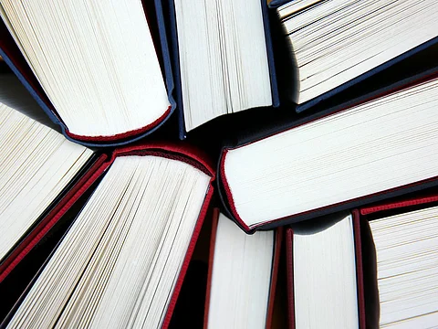 सांकेतिक चित्र (Pixabay)
