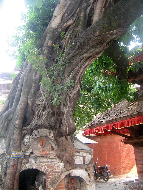 Ashadhi Amavasya 2022: अमावस्या पर करें इस तरह से पूजा, पितृदोष होगा समाप्त