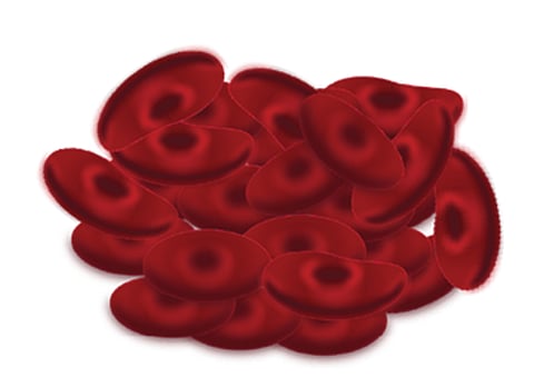 भारत में मिला दुर्लभ ईएमएम निगेटिव नामक ब्लड ग्रुप