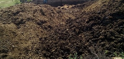 छत्तीसगढ़ की प्रीति टोप्पो ने गोबर से शुरू किया वर्मी कंपोस्ट का कारोबार