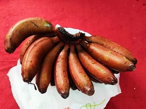 लाल केला